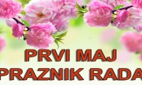 Spring-Flowers-4