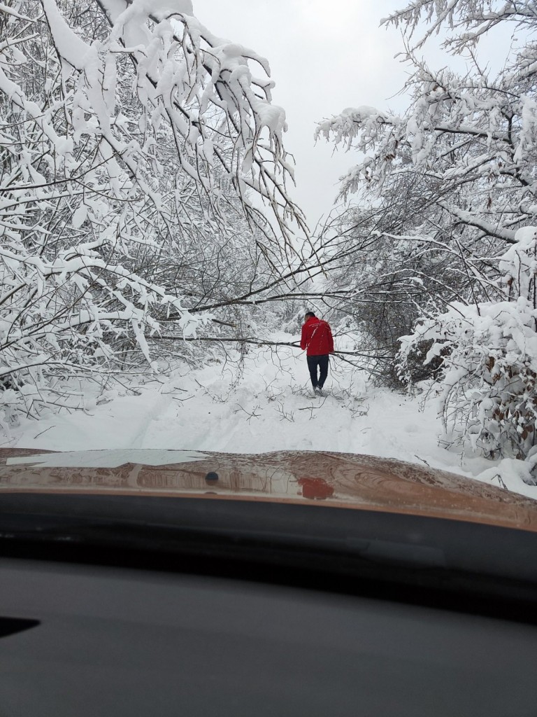 614853821_1559549592447814_3368698379474122439_n