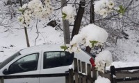 Sluzba-kucnog-lecenja-Kraljevo-na-terenu-kad-se-ukrste-sneg-i-prolece